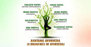 Ayurveda-आयुर्वेद